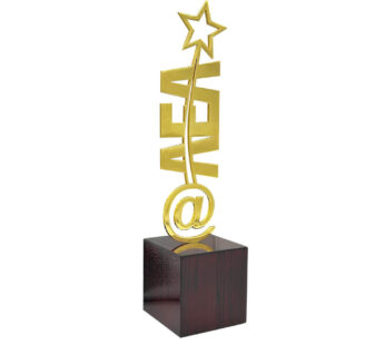 Customized Metal Trophy-1