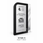 W168-5-Silver-Wooden-Trophy-Award