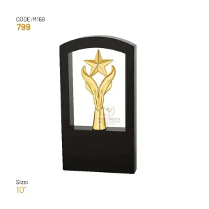 Golden star metal trophy with premium black frame for achievement and recognition awards